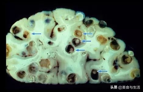挪威三文鱼怎么挑新鲜,你吃的三文鱼是三文鱼吗