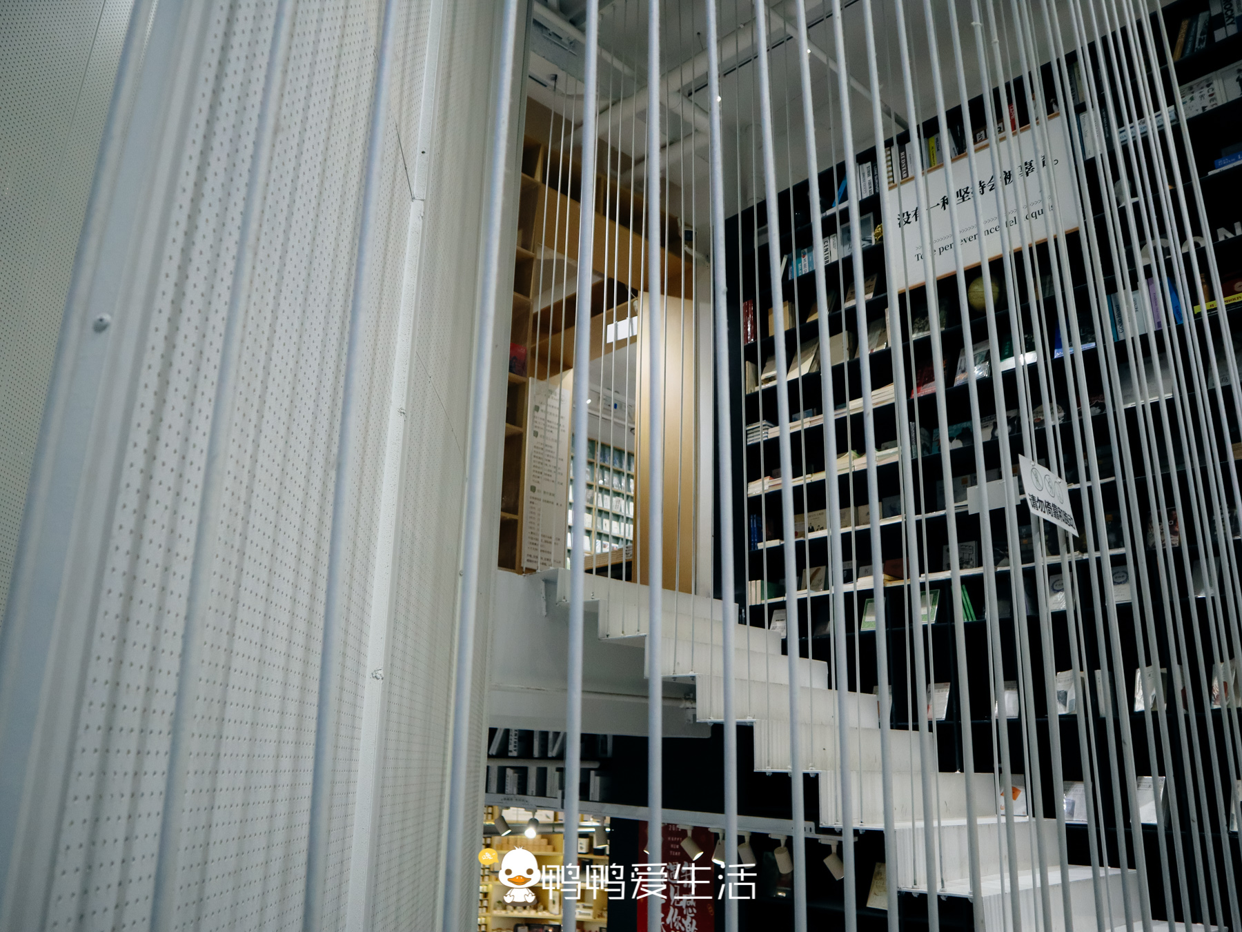 厦门从聿书店网红墙,从聿书店自由行热门攻略