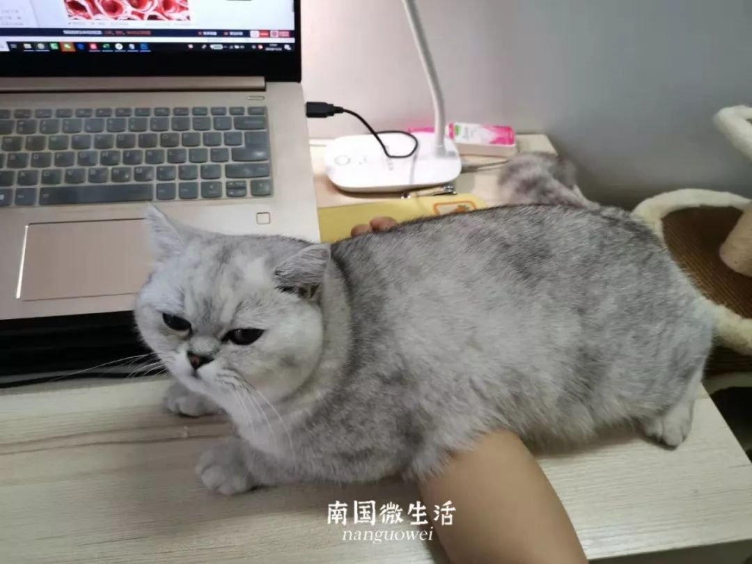 顶不住了！看看在家办公半个月的南宁人