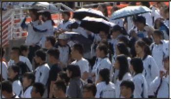 羡慕不如自省国内校园联赛频遭误读谁该担责?不谈热爱何来强大