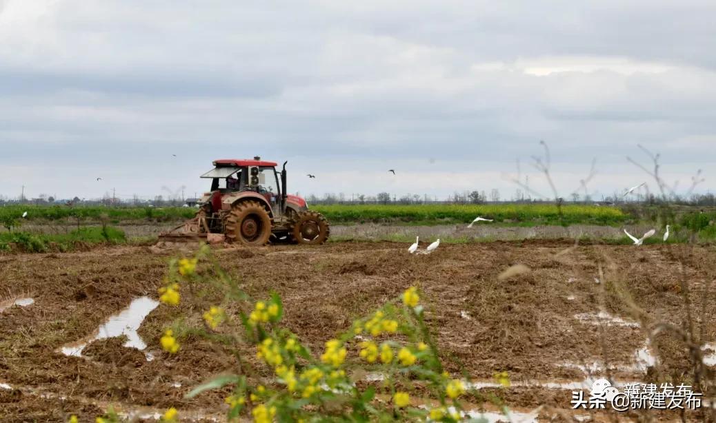 3.30新闻汇总,3月3日新闻简介