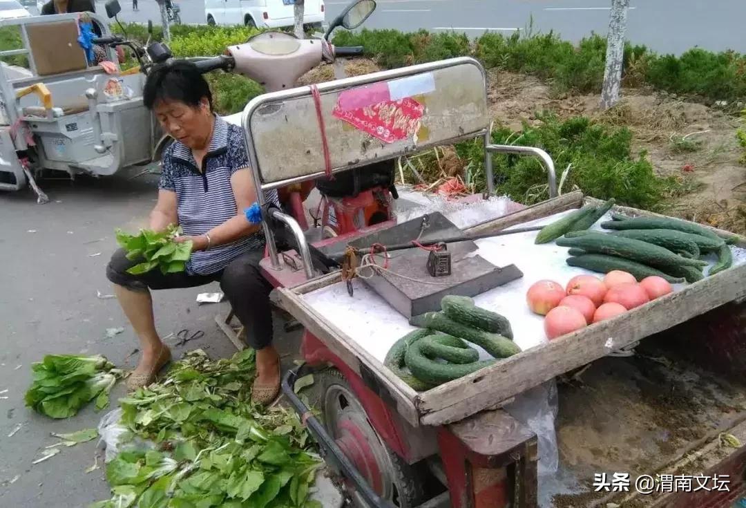 渭南阳郭贺家，我可爱的家乡