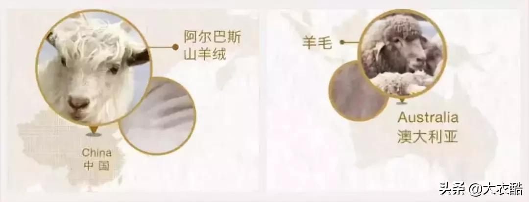 别傻乎乎分不清“羊绒大衣”和“双面呢大衣”，为什么差别10倍？