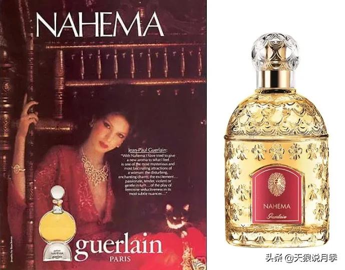 全球最香的十大香水月季,清新淡淡的月季花香水推荐