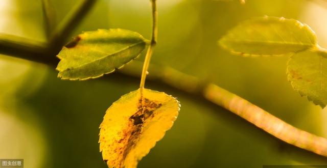 社会浮躁自己该怎么做,这个社会太浮躁需要静下心来