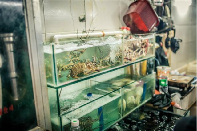 一月鄂尔多斯,带娃鄂尔多斯旅游攻略