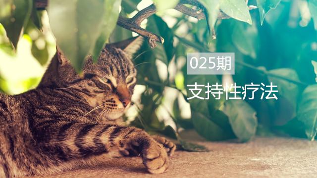 养猫40条常识猫咪生病的症状,猫咪生病有哪些忌口