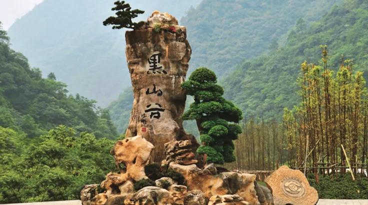 重庆万盛全域旅游中心,万盛国家全域旅游示范区