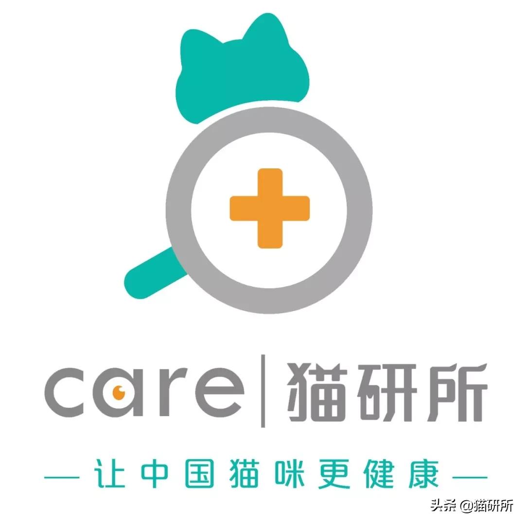 怎样才能看出猫咪对你放下警惕了,怎样发现猫咪的症状