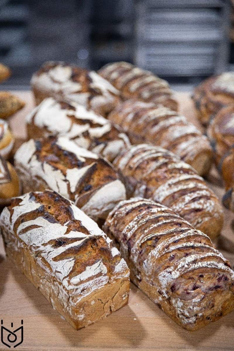 面包知识大全及答案,法式面包的烘焙技术