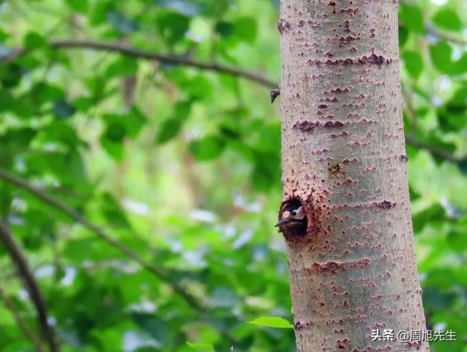 盛京3天深度自驾游好去处推荐,盛京游记
