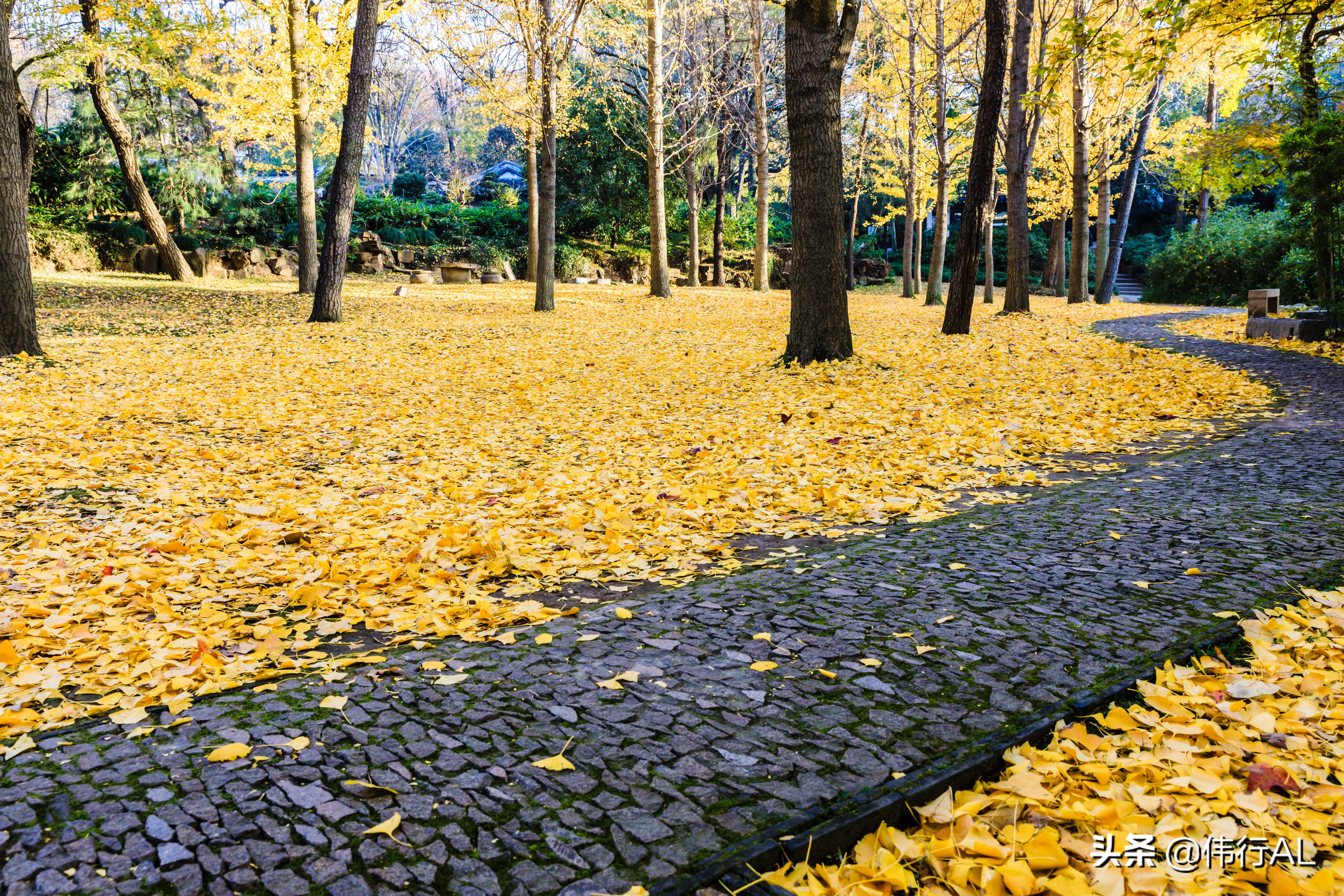 虎丘的十八景,吴中第一名胜虎丘纪念章