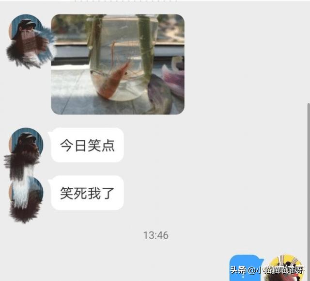 新交的女朋友注意什么,新交的俄罗斯女友