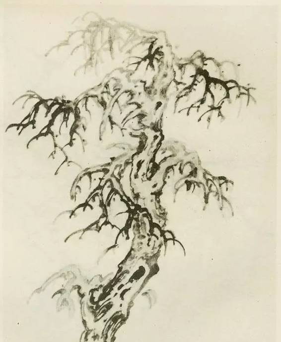 画树教程,怎么画树好看又超级简单