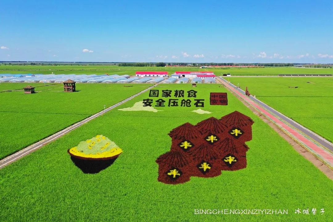 再返富锦，为着那份飘着稻花香的“湿”意约定