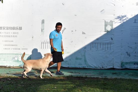 专门培训狗狗,狗狗训练中心培训基地训狗
