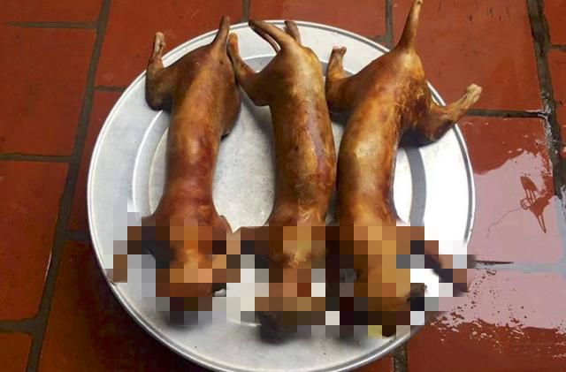 有人说中国人不吃肉怎么回答,中国人号称什么都吃为何不吃猫