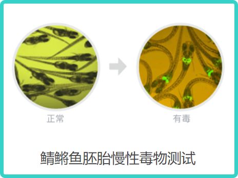 测18款美白精华，9款有效美白，但其中4款用了要出大问题？