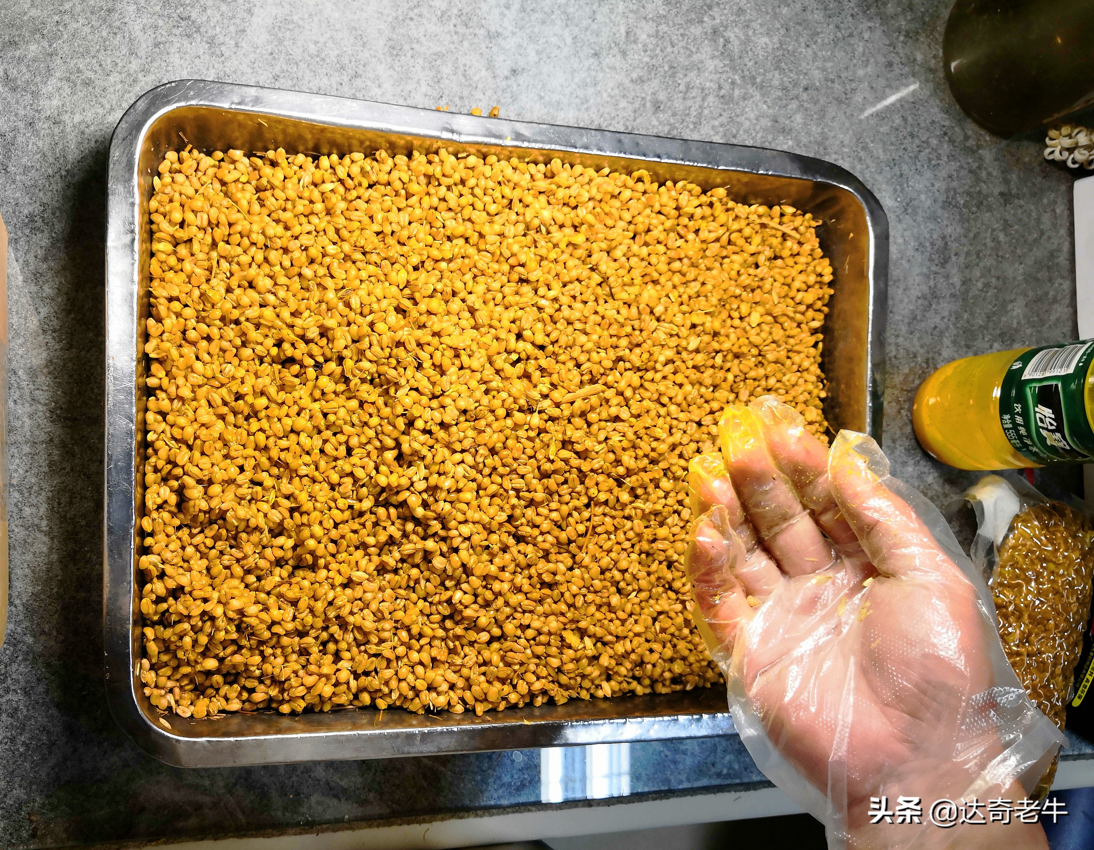 谷麦饵料长时间保存的方法,谷麦饵料怎么长期保存