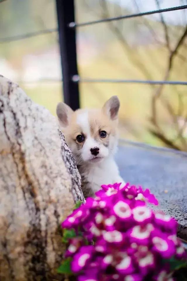 德清最高峰上的云端民宿，躺在离星空最近的床上