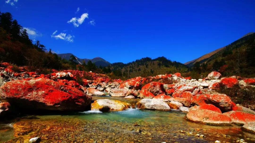 燕子沟最新视频,燕子沟未解之谜