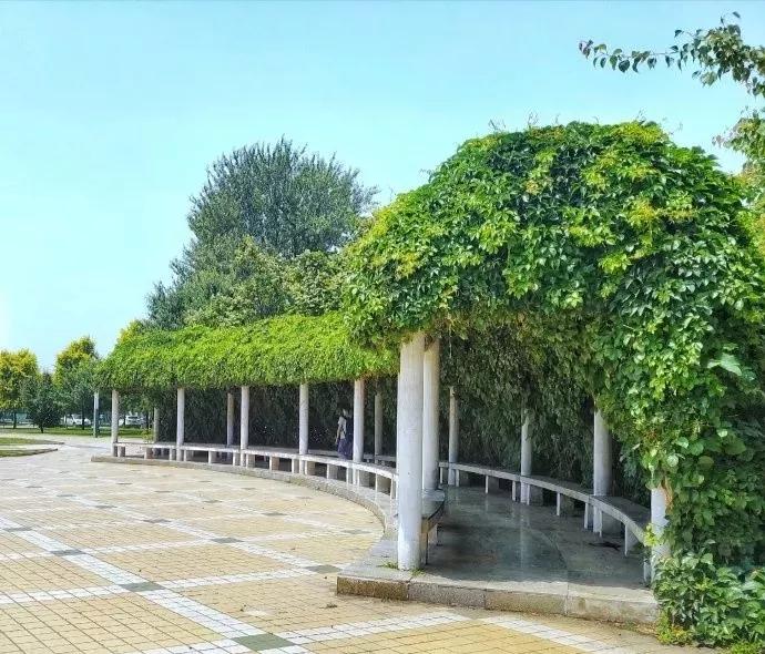 沈阳医学院在辽宁排名,沈阳医学院全面介绍