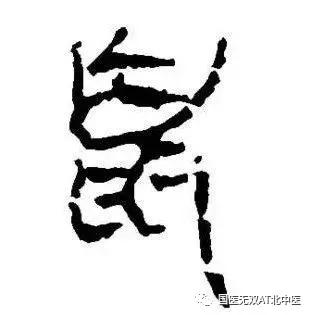 带鼠字的中药,带鼠字的药材