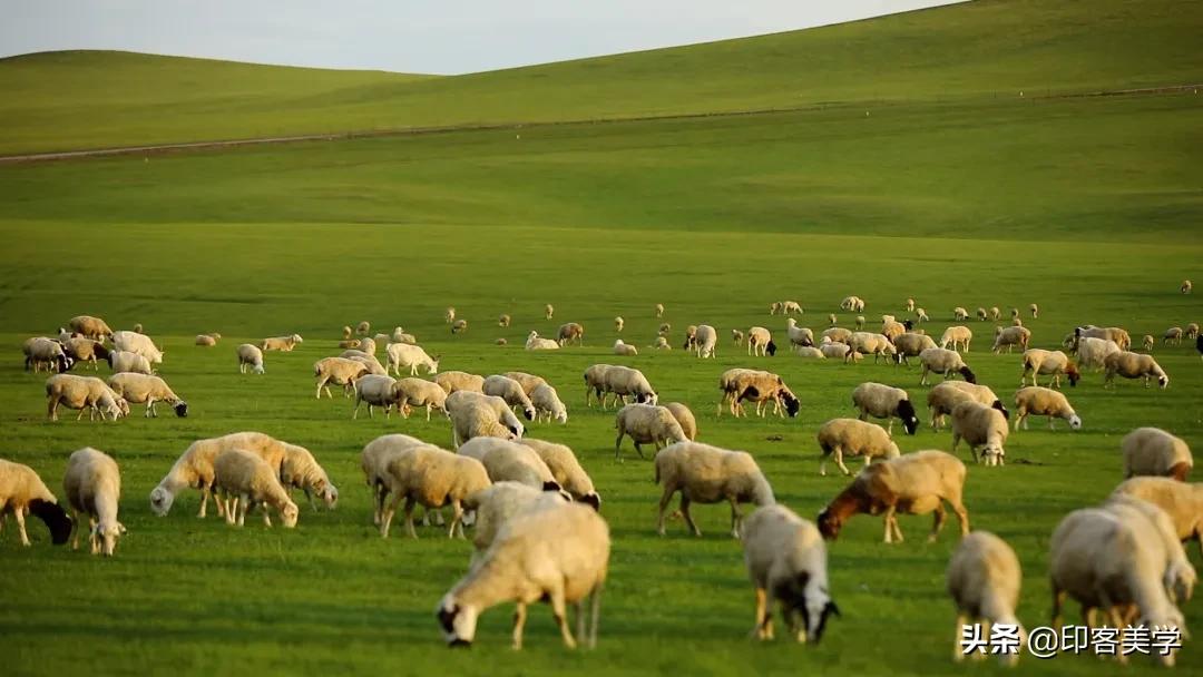 苏东坡爱吃荔枝,苏东坡爱吃猪肉吗