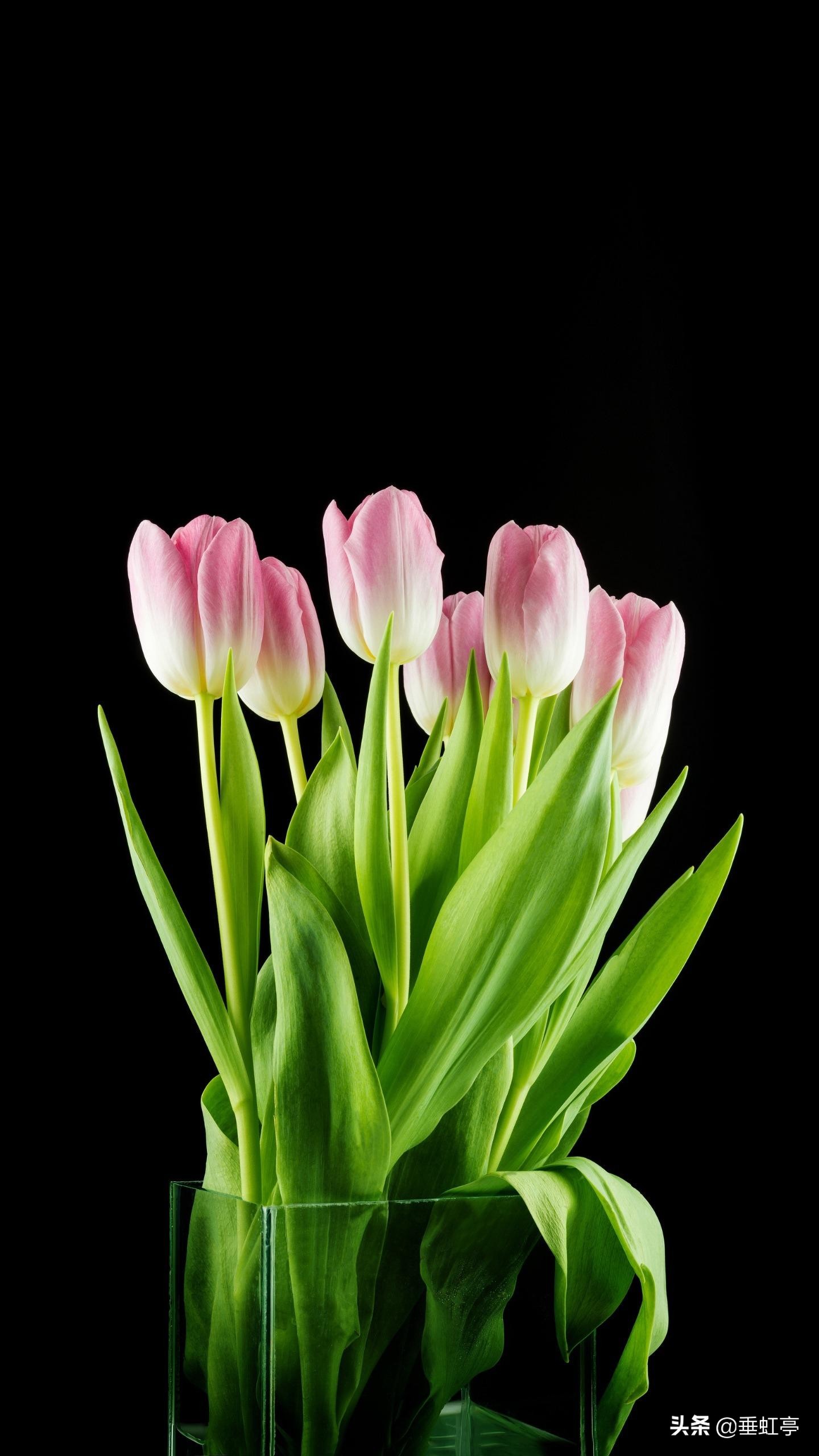 程颢《春日偶成》,七绝里星点体现“理学”之本!