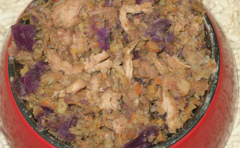 小柴犬不拉屎怎么办,柴犬挑食不喂它会一直不拉屎吗