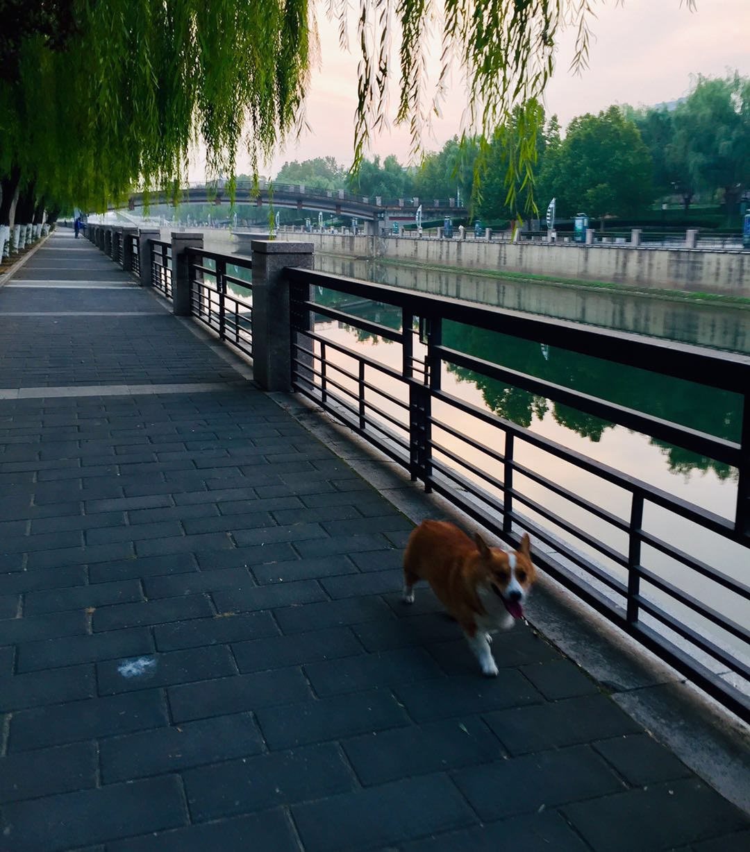 北京庆丰公园,有历史典故,能晨跑健身、遛弯散心的3*级A**景区