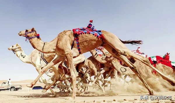 土耳其也门叙利亚,索马里土耳其黎巴嫩乌克兰也门