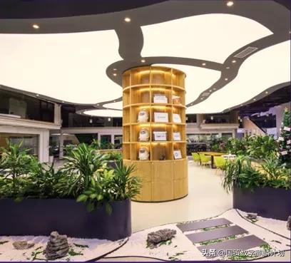 17栋杭州东站旁的别墅,“麒麟计划”这个大招远比你想象的厉害