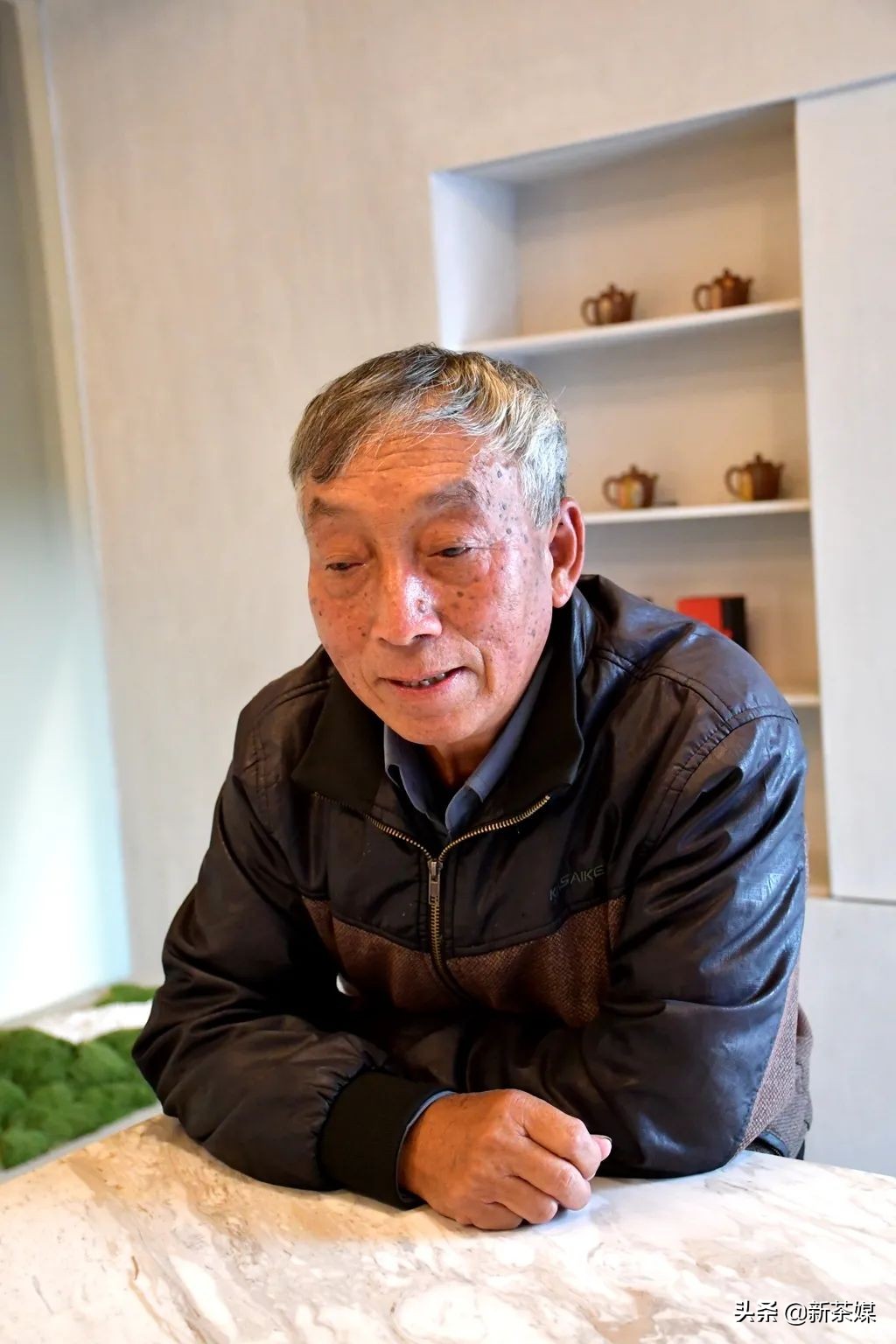 南糯山茶树王咋走,南糯山普洱茶茶树王