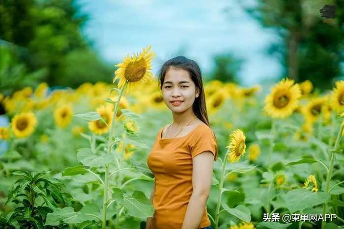 柬埔寨波贝不止有“菠菜”，还有美女和花海