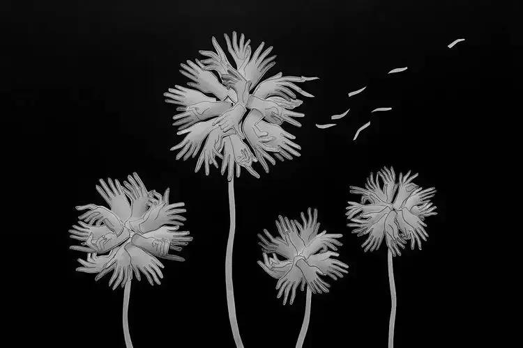 90后女学生解剖课,90后女孩上解剖课