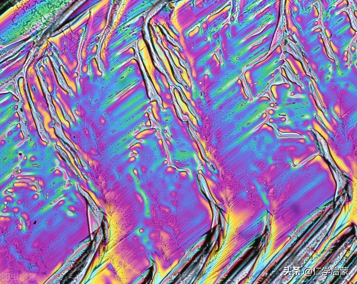 相异之仁：敬、忠、恕、无怨（12.2）