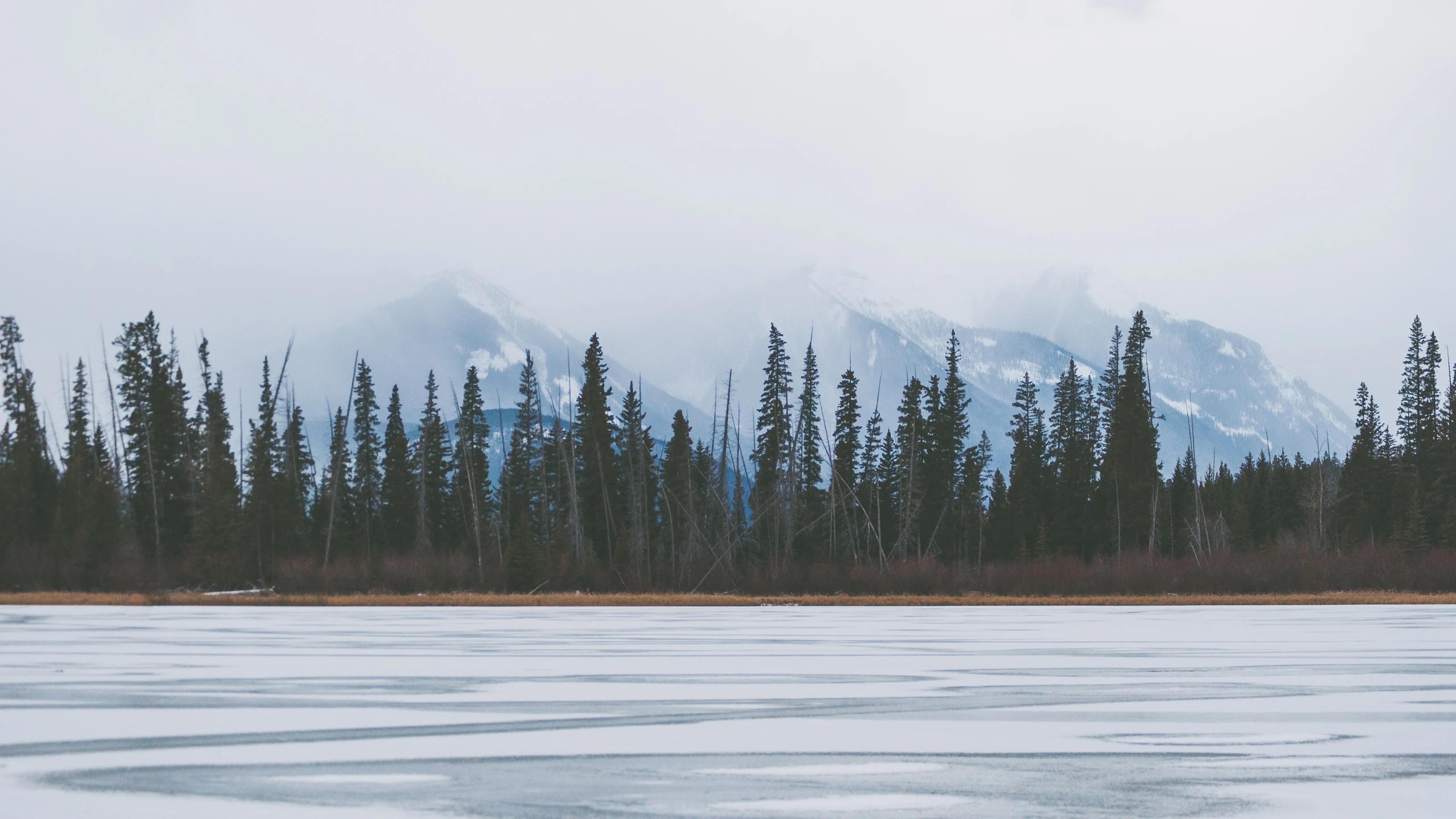 分享一波超清电脑壁纸高清无水印,4k超清清纯美女图片电脑壁纸