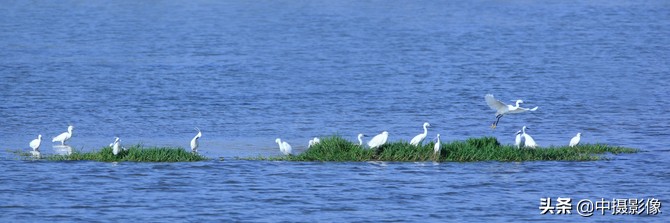 观日照白鹭湾小镇，看湾里人的生活与艺术，是怎样一首田园诗