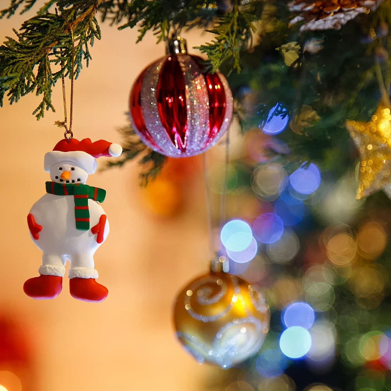 台森家具|Tome,youareperfect