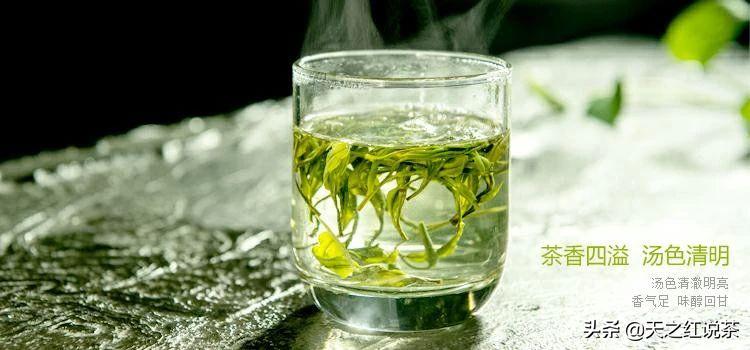 喝春茶的人生感悟,喝春茶的意境诗句