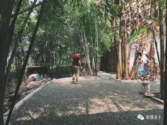 总共花了不到700元改造的废弃小院,花4万改造房子