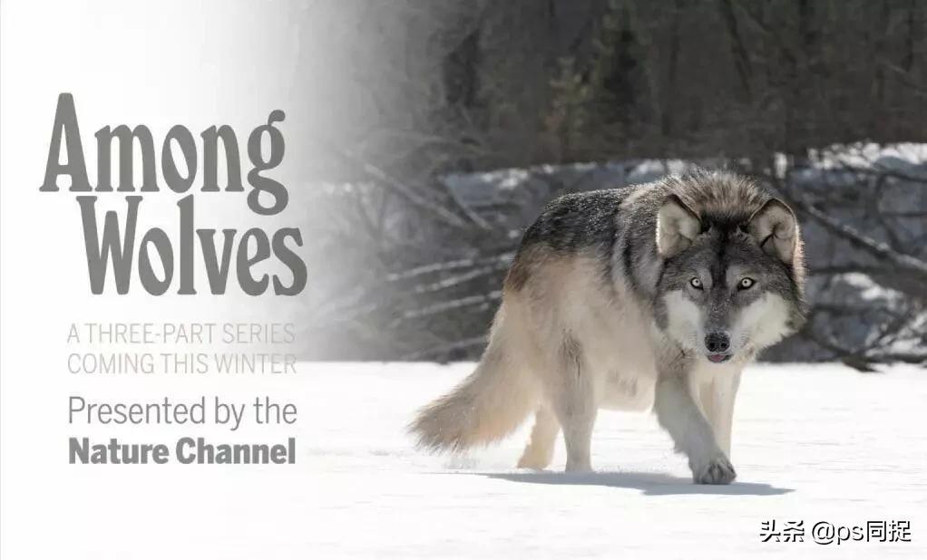 jpg图片批量裁切,如何快速批量裁切图片