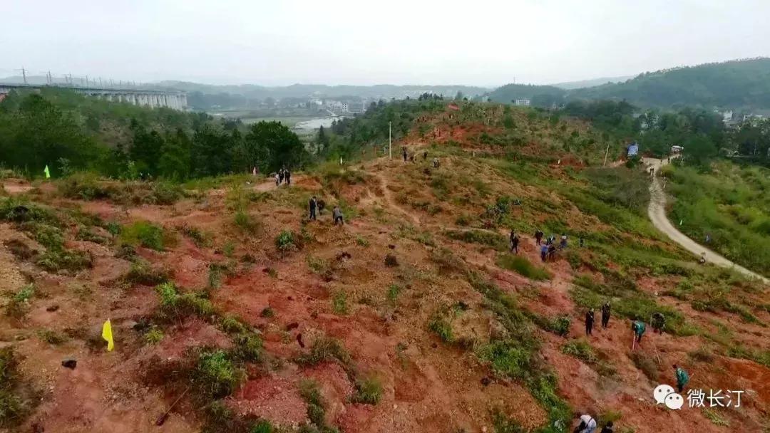 沈腾乡村振兴,长汀策武乡村振兴