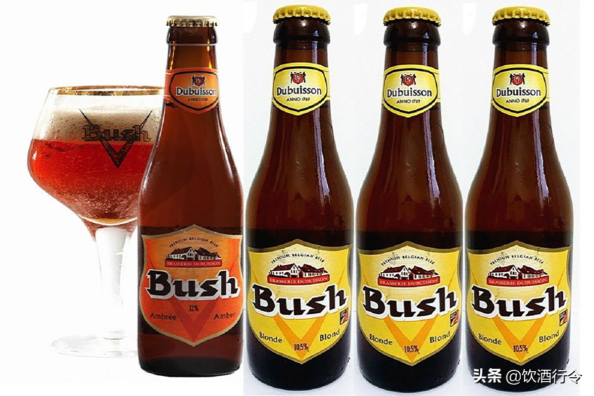 谁说啤酒只能夏天喝？盘点一年四季最适合喝的啤酒，你喝过几款？