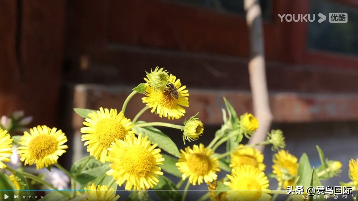 佳能eosr6详细参数曝光诚意满满,佳能发布新eosr6全画幅相机