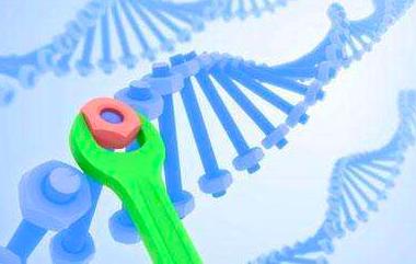 无性生殖到有性生殖的进化,无性繁殖和有性生殖的优点和缺点