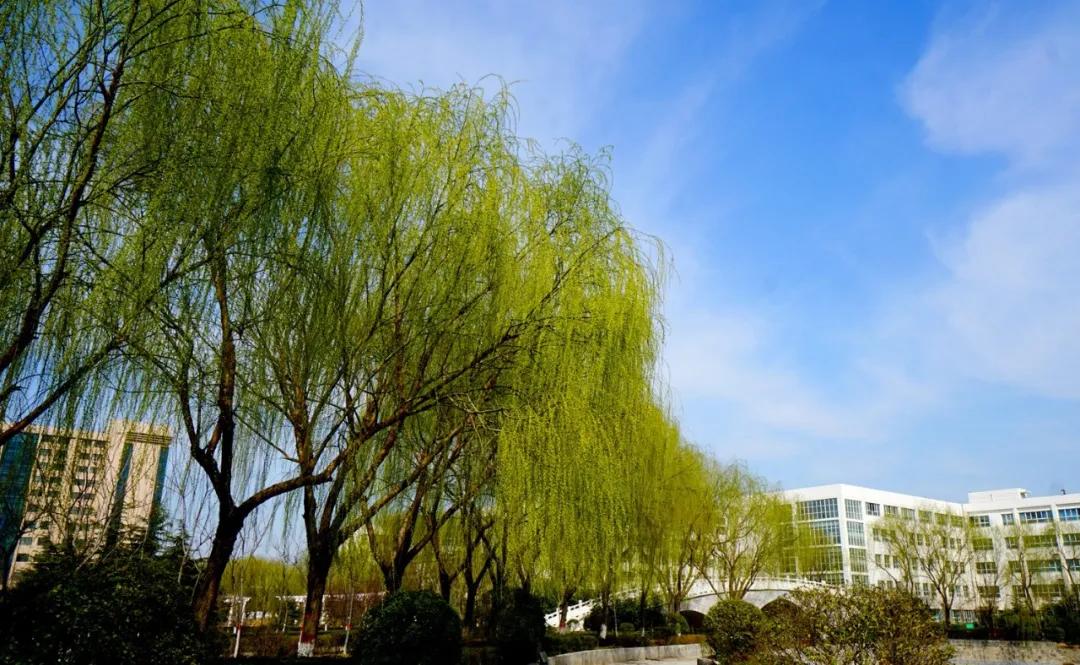 新乡职业技术学院开学,新乡职业技术学院绽放建筑