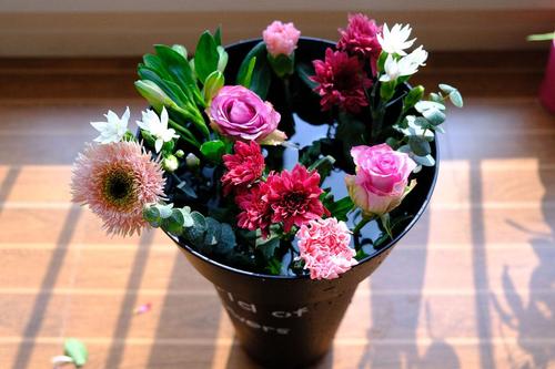 鲜切花插瓶没有多久就蔫了,鲜切玫瑰花为啥才插的二天就蔫了