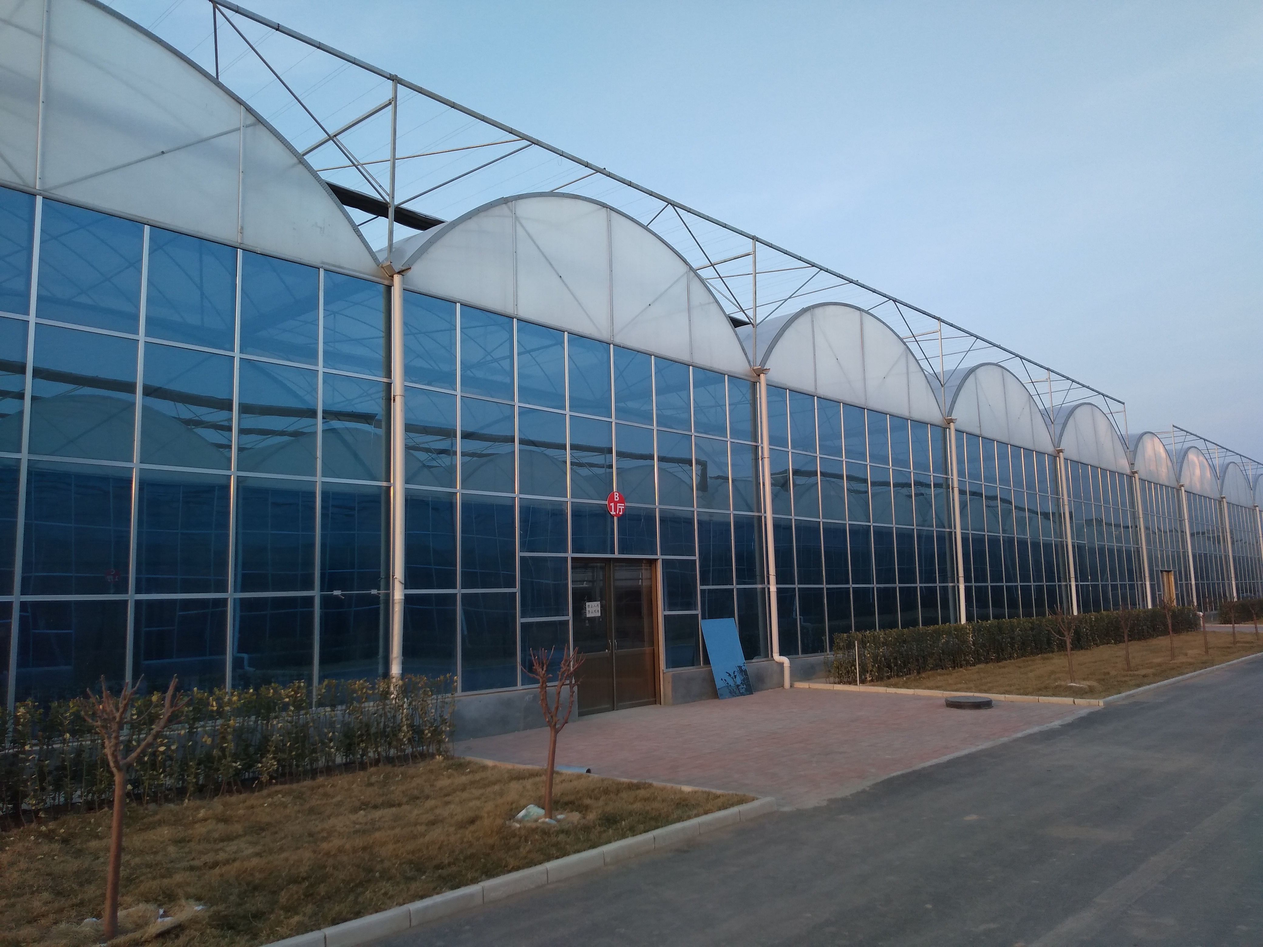 轻钢结构连栋薄膜温室大棚,连栋大棚建造全过程